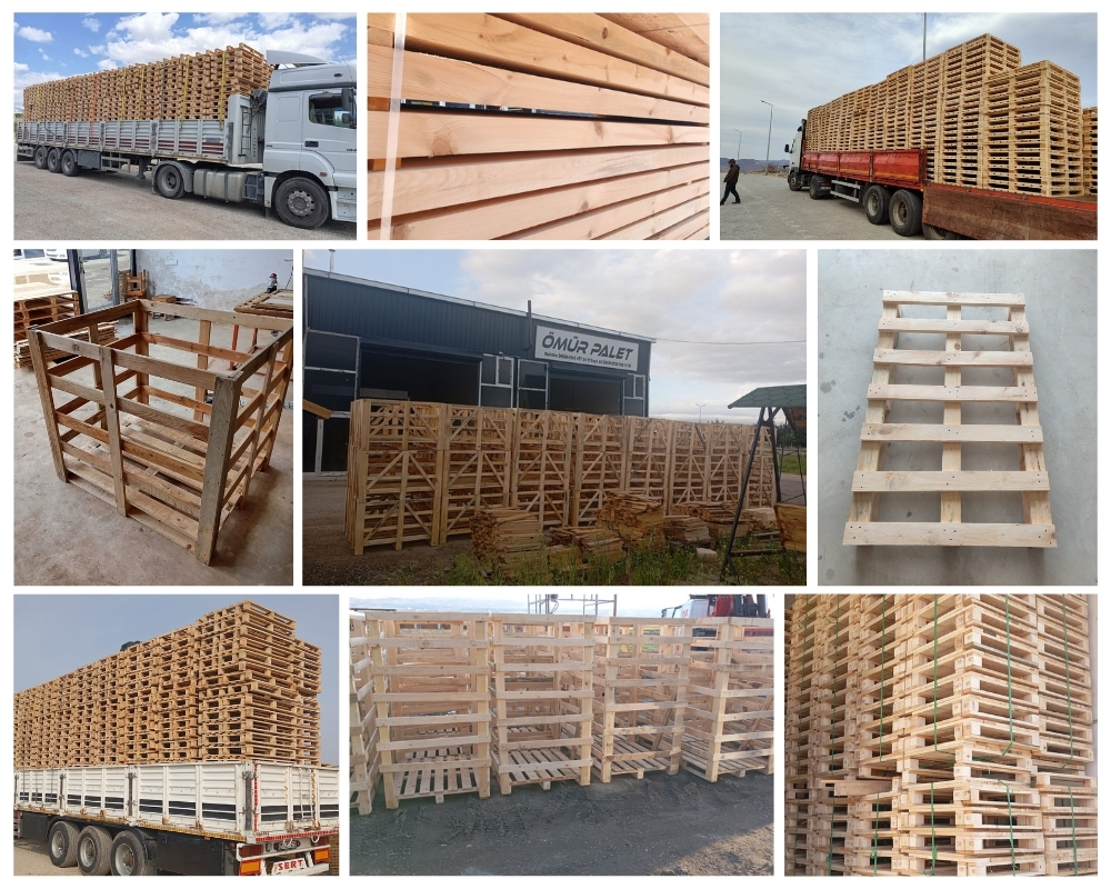 Shaftesbury Wooden Pallets, Buy Wooden Pallets Wholesale